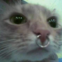 artii143 avatar