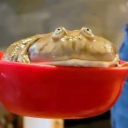 artist--unkn0wn avatar