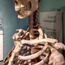 artist-anxiety avatar