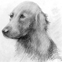 artist-hiedler avatar