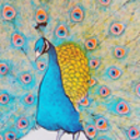 artist-promotions avatar