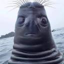 artistformerlyknownas90skid avatar