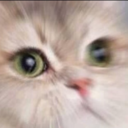 artistic---flight avatar