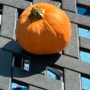 artisticangel avatar