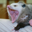 artisticchildd avatar