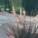 artisticfiend avatar