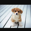 artisticgirl2000-blog avatar