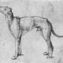 artistichound avatar