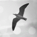 artisticnothing avatar