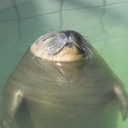 artistofmischief avatar