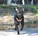 artmusiccoolshit avatar