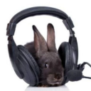 artoveranarchy avatar