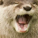 artsandcraftsotter avatar