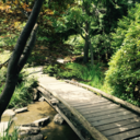 artsiecutie-blog avatar