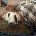 artsy-space-babe avatar