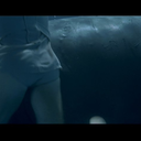 artsy-spockyyy avatar