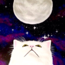 artsycatofficial-blog avatar