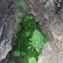 artsyengineer avatar