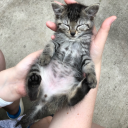 artsygalaxy25 avatar