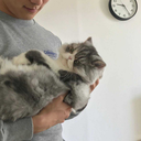 artsylix-blog avatar