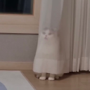 arttheclowncult avatar