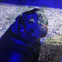 arttipsandsuchdontchaknow avatar