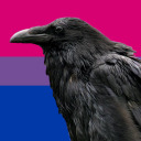 artur-the-raven avatar