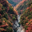 artwallawesome avatar