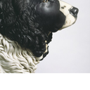 artwithdogs avatar