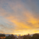 aryannaflowers avatar