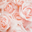 as-the-moon-begins-blog avatar