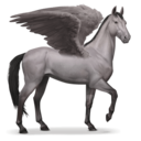 asafugaz avatar