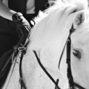 ascapefromtheworld avatar