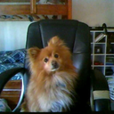 asdfg-sam-blog avatar