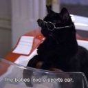 asdfghjklmiau avatar