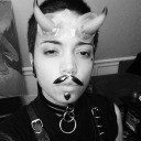 aseaofcatcraft avatar