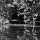 aseasoninsomewhere avatar