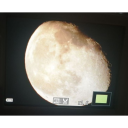 asenathselene avatar