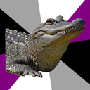 asexuallalligator avatar