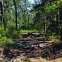 asgardisforlovers avatar