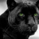 asgardsadorabletrickster avatar