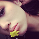 ash-black-blog avatar