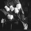 ash1987sworld avatar