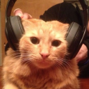 ashbug9bucket avatar