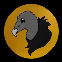 ashen-vulture avatar