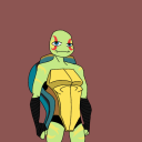 asher-turtle avatar
