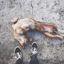 ashes-dust-nothing avatar