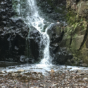 ashes-into-dust avatar