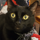 ashesinthewest avatar