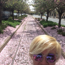 ashesofwhiskey avatar